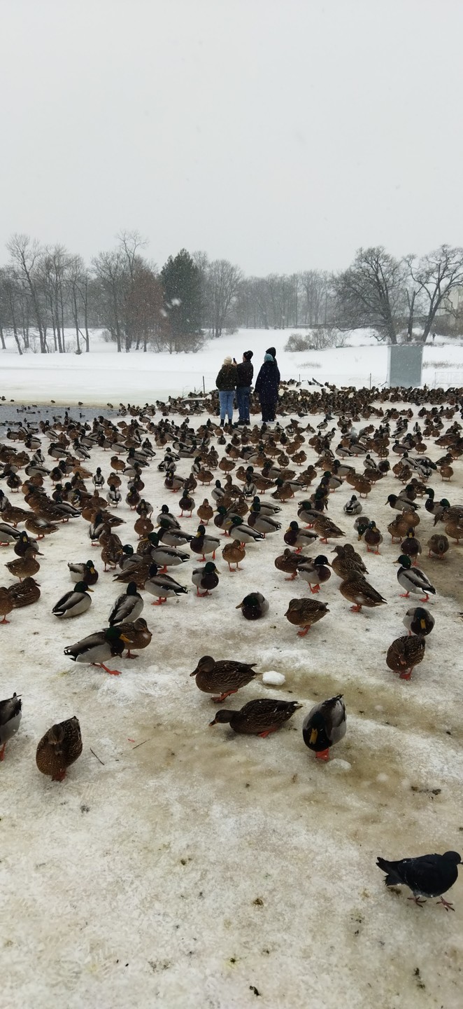 Экскурсия в сопровождении Натальи прошла для меня весьма замечательно я доволен результатом это грамотный и не