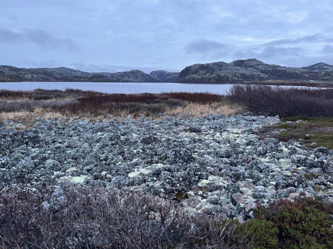 Заказала тур в мини-группе в Териберку у организатора Олеси. Тур «Душевное путешествие в Териберку для гурманов