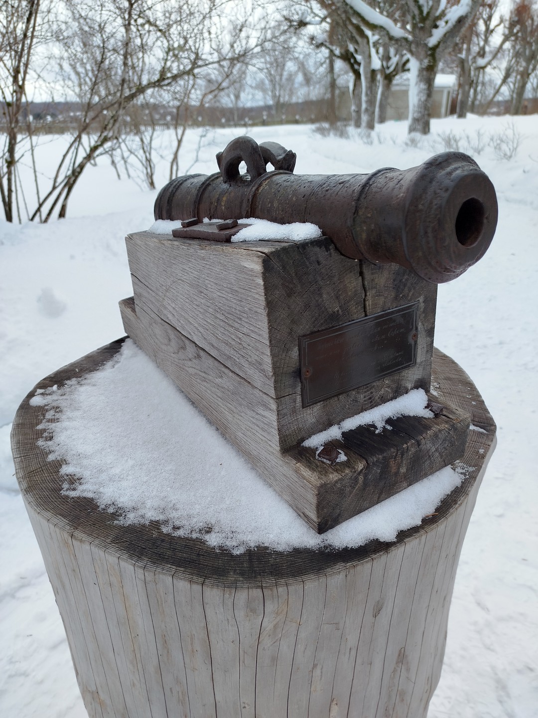 Из Пскова в Пушкинские Горы: Михайловское и Тригорское (Ирина)