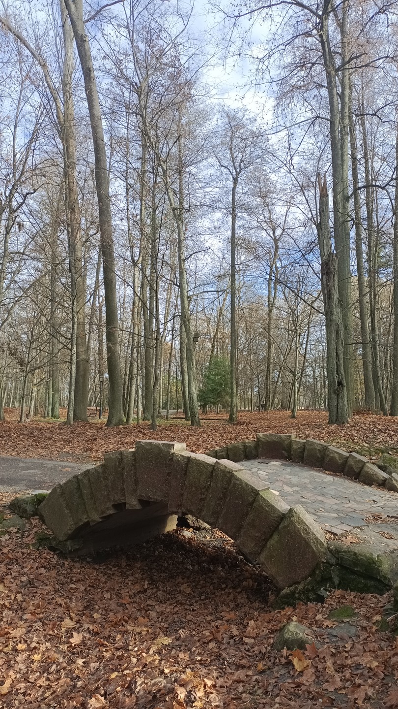 Трансфер из Минска в Мирский и Несвижский замки (туда-обратно) (Елена)