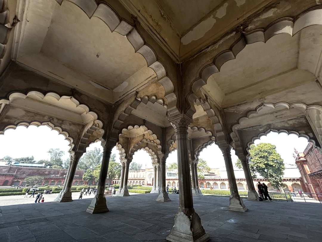 Благодарны Али, за организацию экскурсии в Агру! Всё прошло отлично,водитель чётко в 6 утра забрал нас