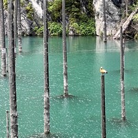 Фото отзыва 2: экскурсия "Озёра Каинды и Кольсай, Черный и Чарынский каньоны — все сокровища Алматы"