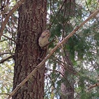 Фото отзыва 3: экскурсия "В гости к Саянам!"