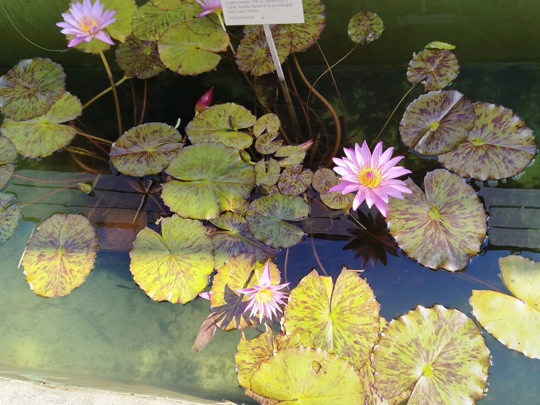 Это была замечательная обзорная экскурсия! Нас встретила экскурсовод Анна, очень доброжелательная девушка. Мы прошлись по знаковым