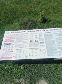 Село Сростки, возвращение в Новосибирск