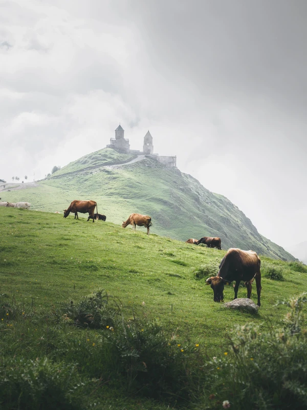 В объятия с Казбеком