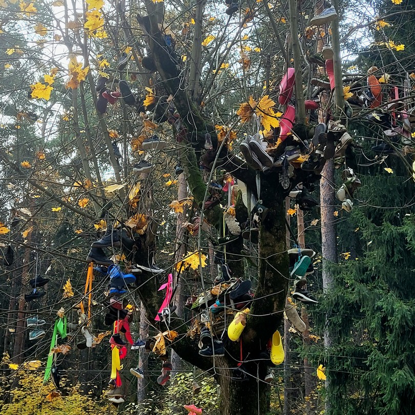 Экскурсия и гид Сергей очень понравились, два часа пролетели незаметно, хорошая организация маршрута. Узнала много новых