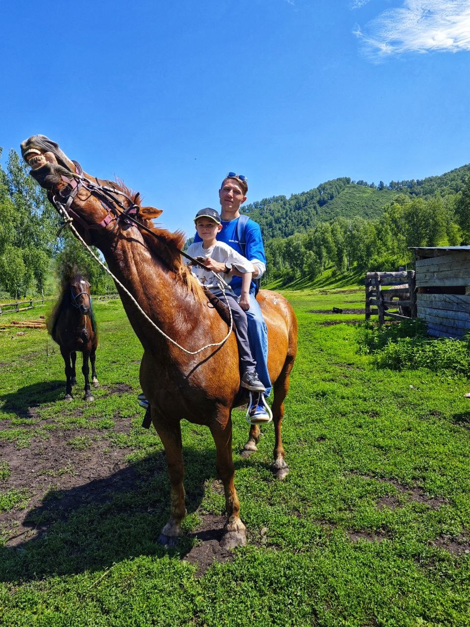 Большое спасибо за прогулку! Впервые катались на лошадях, всё понравилось. Инструктуры вежливые, внимательные. Обязательно вернёмся и