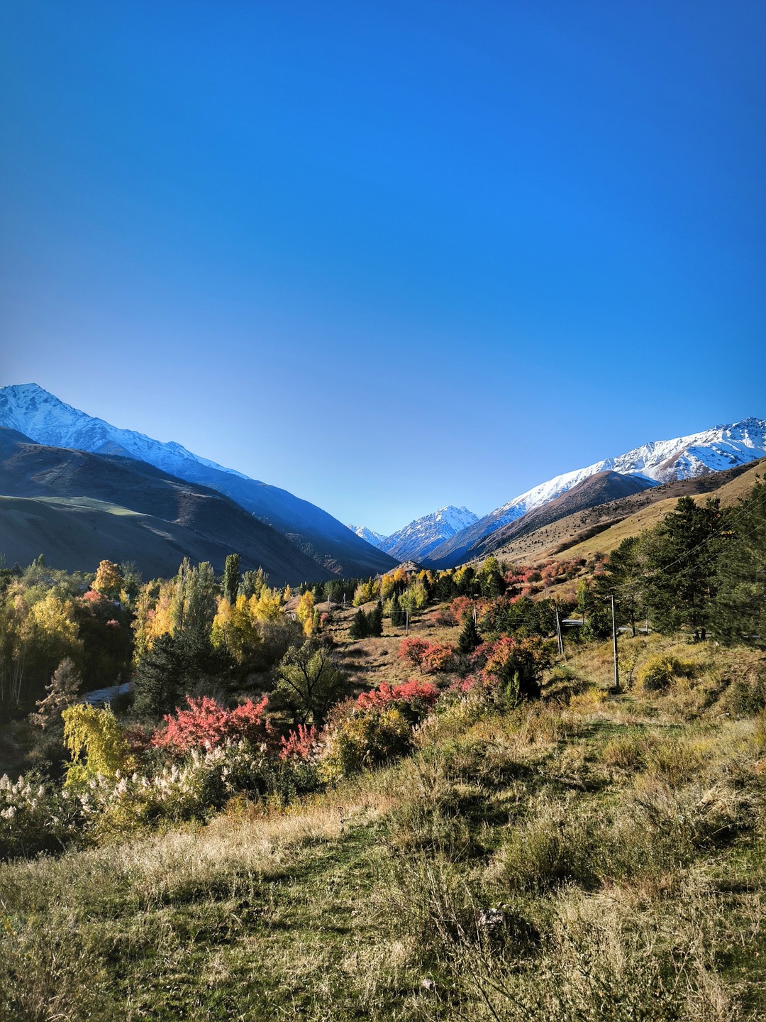 Парк Ала-Арча и горные ущелья за 1 день (Эльвира)