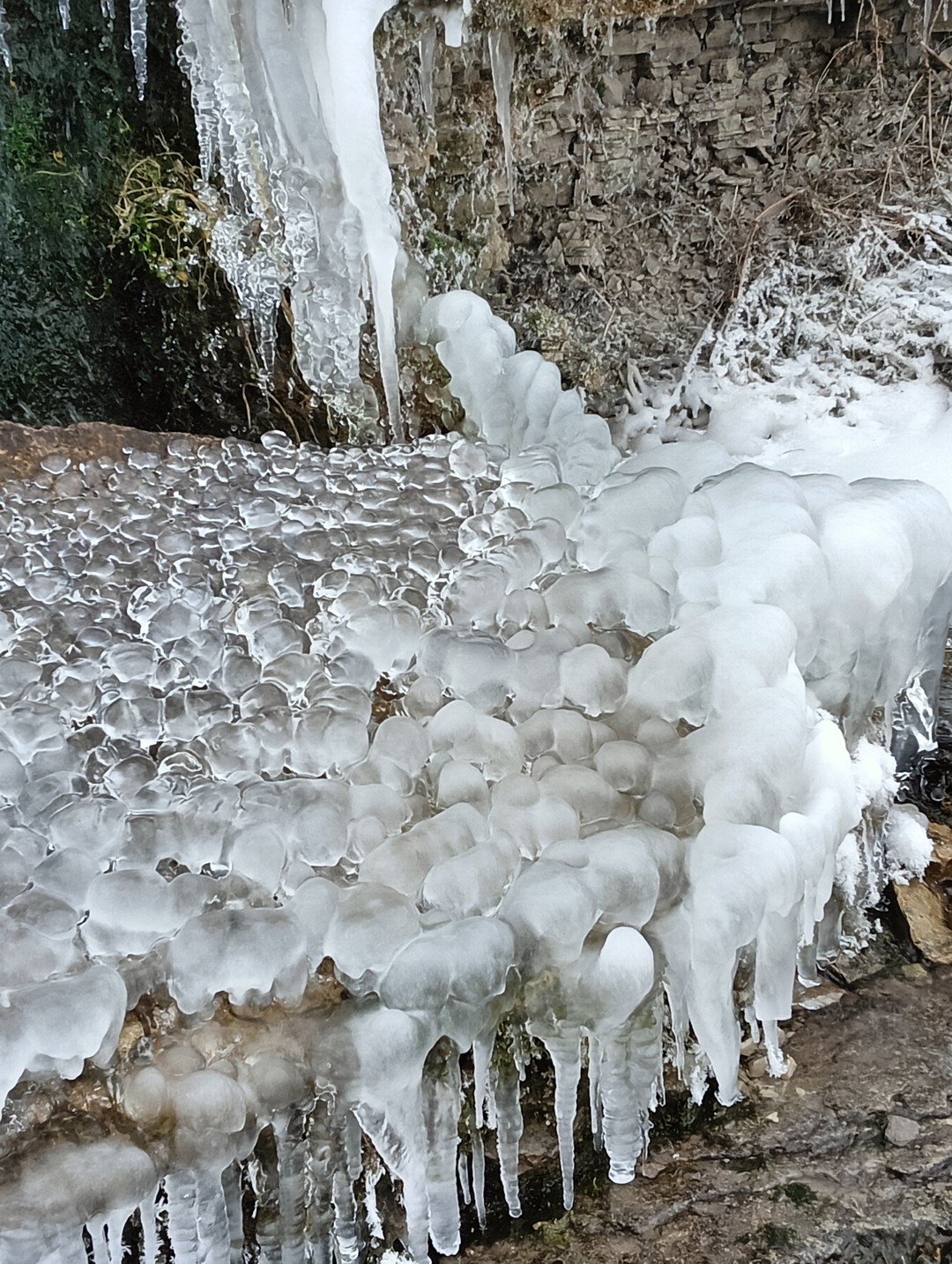 Автобусная экскурсия из Пскова в Изборск и Печоры (Солдатова)
