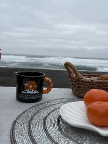 Фото отзыва 3: экскурсия "Вы и Океан: экскурсия на Халактырский пляж (из Петропавловска)"