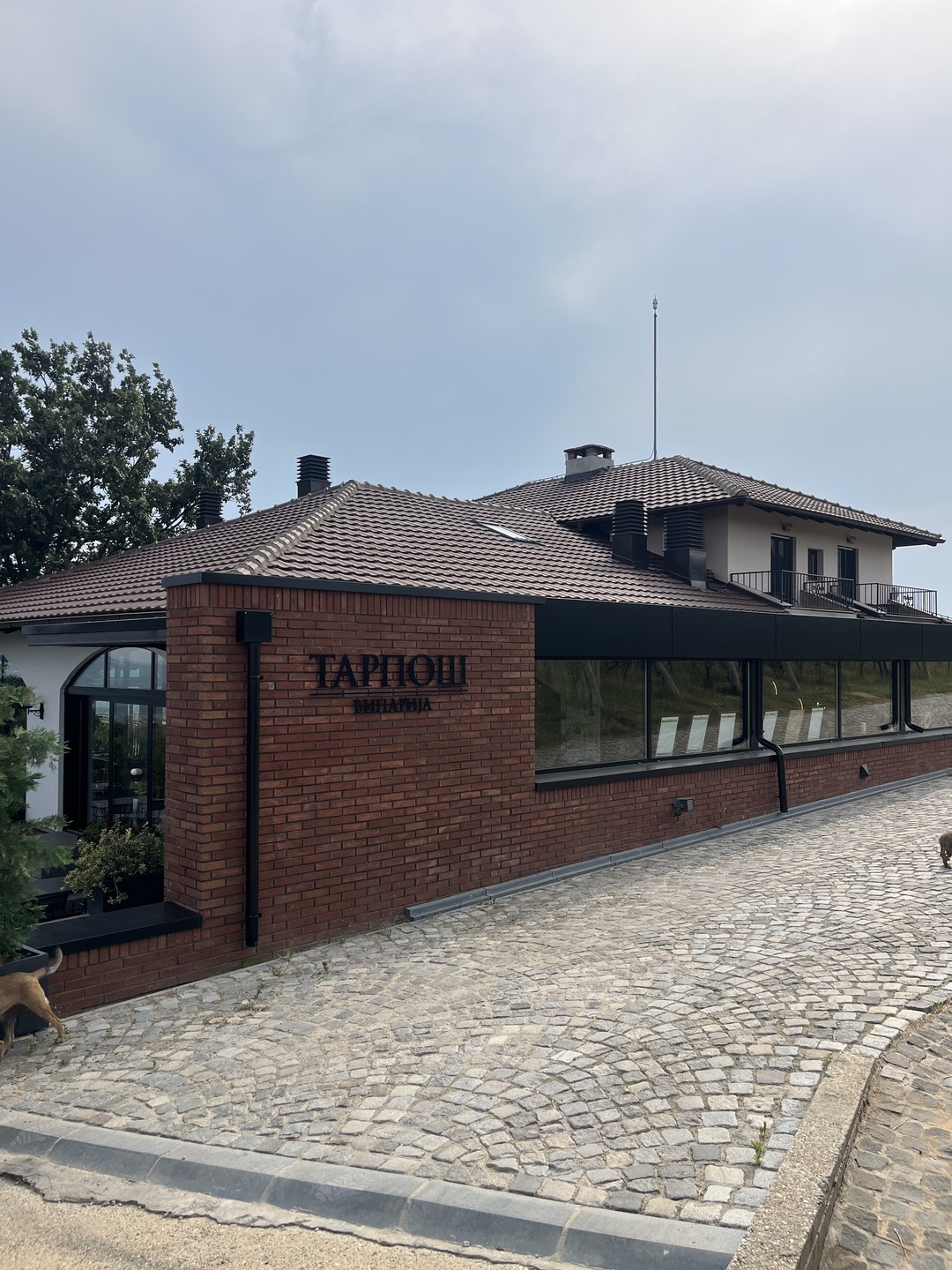 Огромное спасибо за классную экскурсию, сочетающую в себе посещение термальных источников и винодельни, хочу поделиться своими