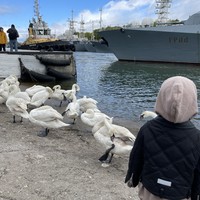Фото отзыва 3: экскурсия "Путешествие по Балтике: Балтийск, Светлогорск, Приморье и Янтарный"