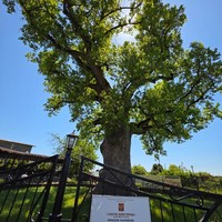 Фото отзыва 3: экскурсия "Один добрый день в Сочи: дружеский отдых по вашим правилам"