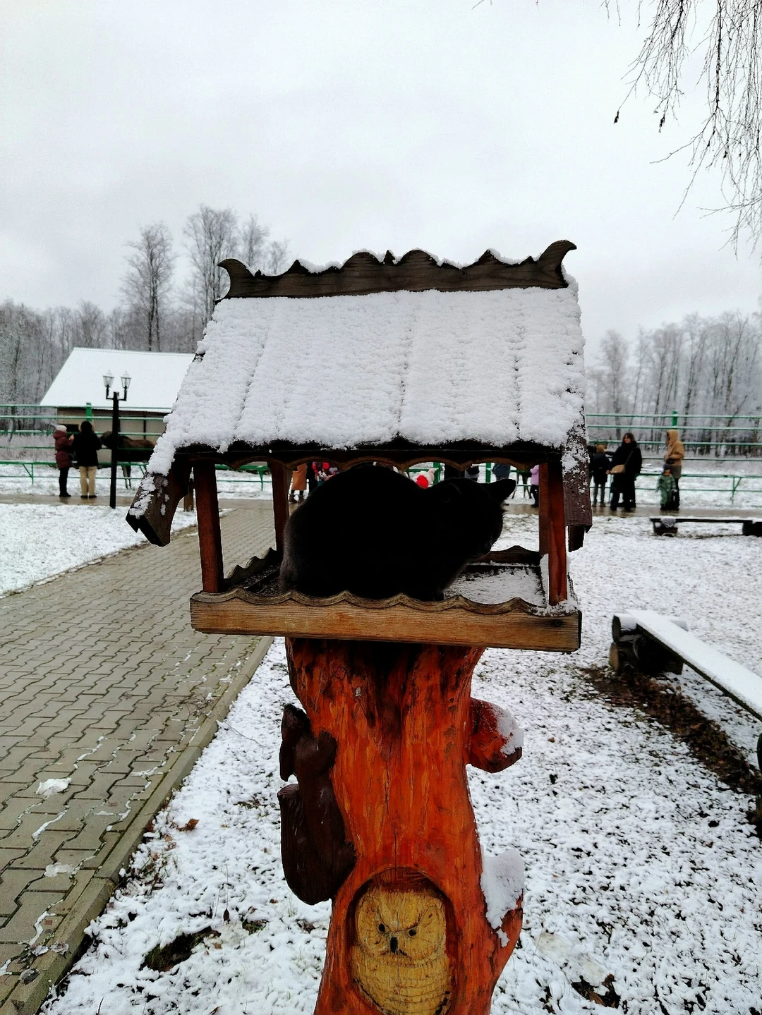 Главной целью нашей поездки был Государственный природный заказник Сумароковский., где с 1963 года начали одомашнивать лосей