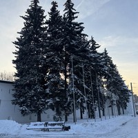 Фото отзыва 2: экскурсия "Знакомство с Ярославлем на авто-пешеходной экскурсии в группе"