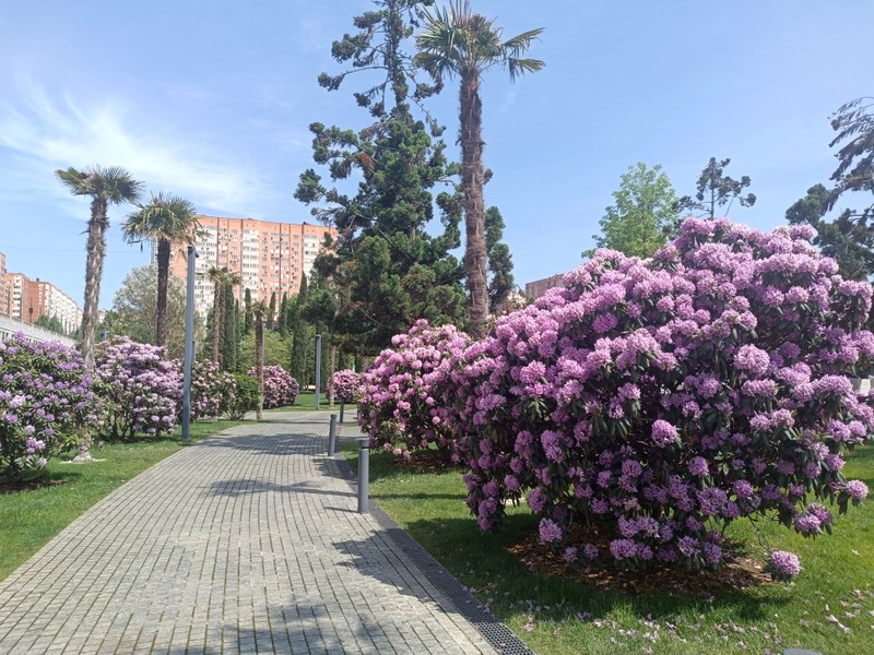 Фото к экскурсии Прогулка по парку Галицкого в Краснодаре