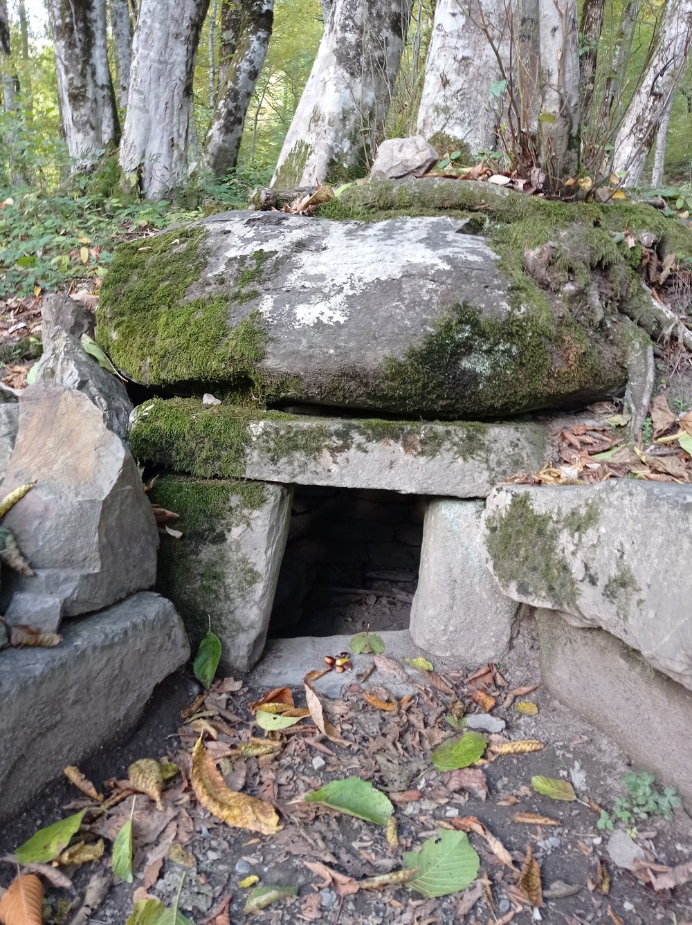 Живописные ущелья, дольмены и горные курорты за 1 день (из Сочи) (6/8)