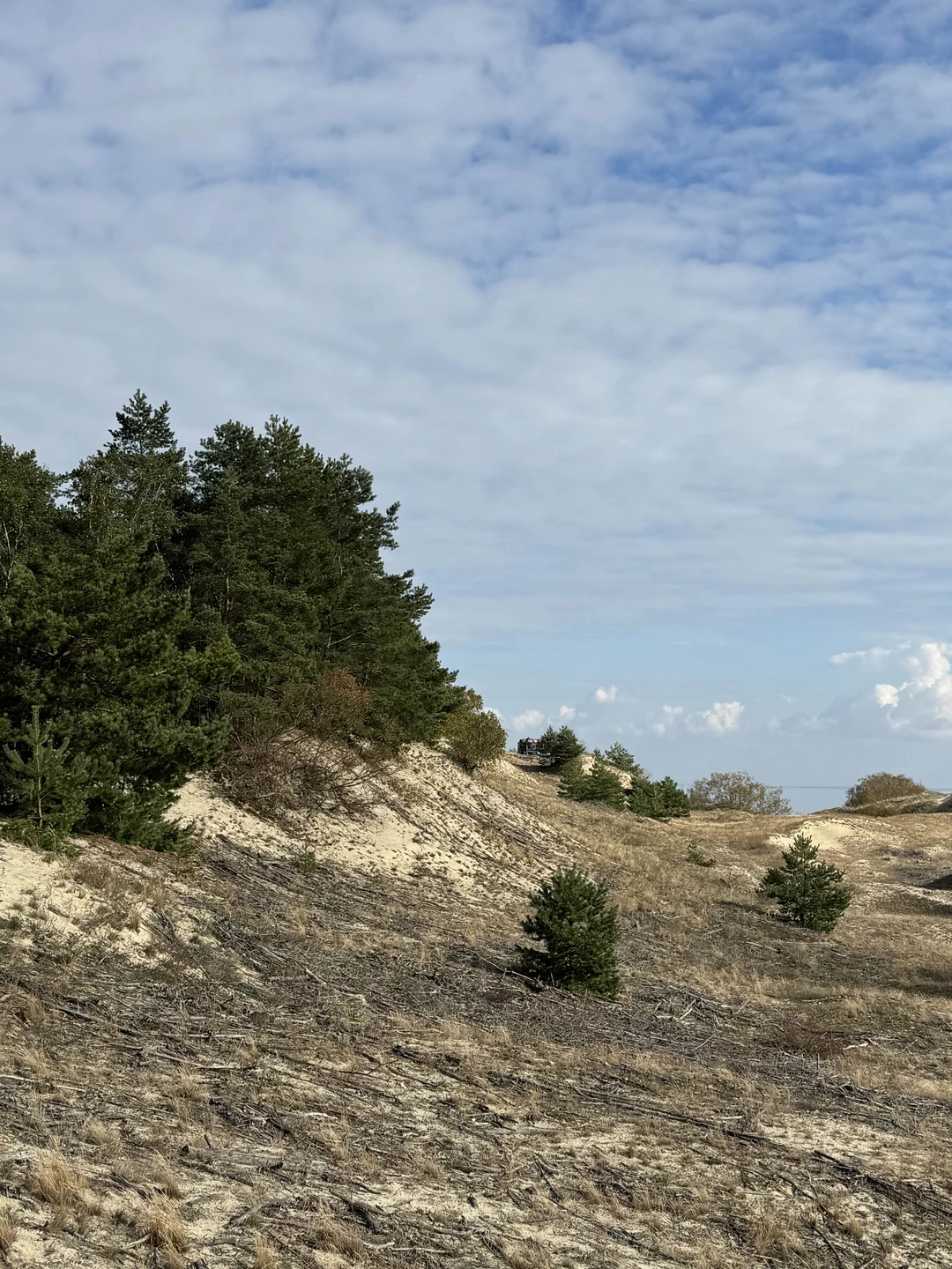 Нашей семье очень понравилась подача информации: не напряжно, но интересно и содержательно, без сухих дат и