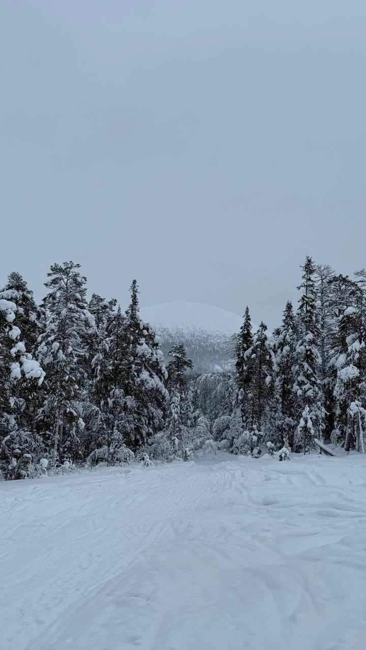 Хочется сказать огромное спасибо за тур Артему и Роману — все было сделано с душой и
