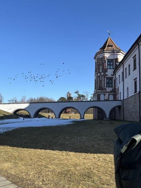 Замки Беларуси: групповая экскурсия в Мир и Несвиж из Минска (Мария)