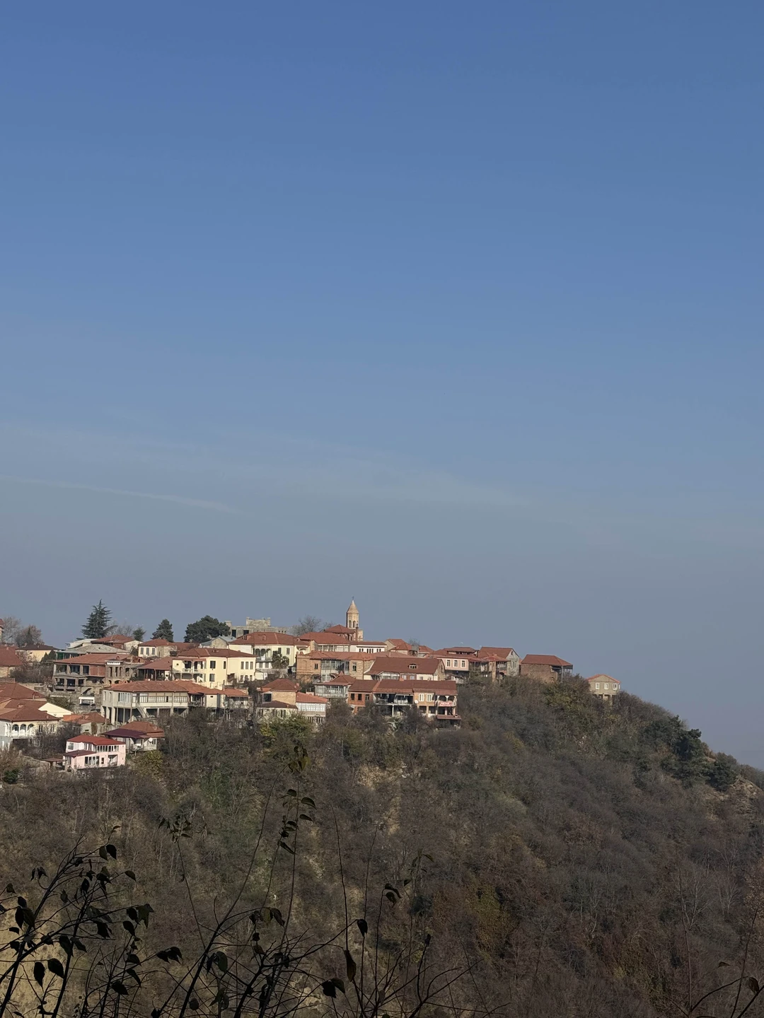 Кахетия покорила не только вкусом вина, но и атмосферой!