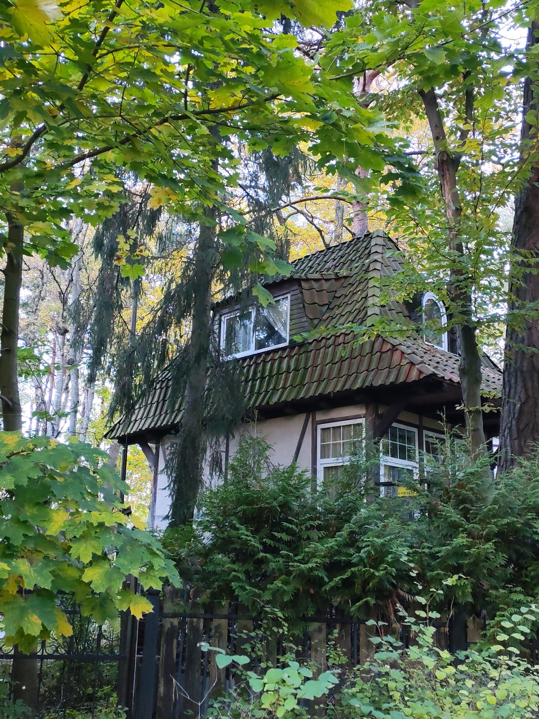 Прекрасная и информативная экскурсия. Много интересной информации. Город открылся другой неизвестной стороны