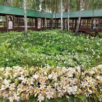 Фото отзыва 3: экскурсия "Экскурсия по Екатеринбургу с посещением Ганиной Ямы"