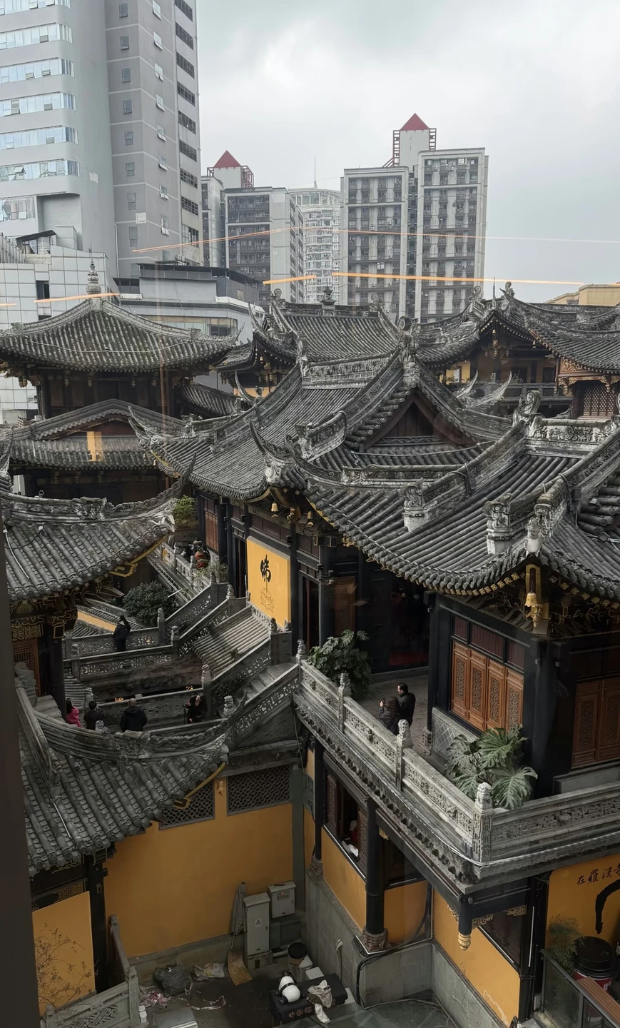 Нам очень понравилась наш гид Алина, она просто очаровательна и сделала однодневную экскурсию по Чунцину незабываемой