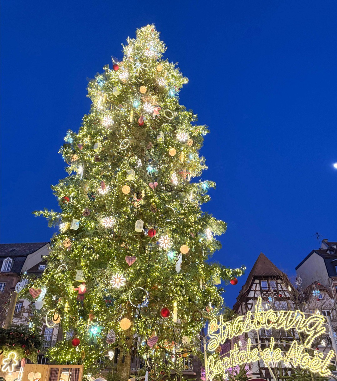 Марина молодец) старалась обо всём рассказать понятно и структурировано, на все вопросы отвечала. Рекомендуем всем, вы не будете разочарованы