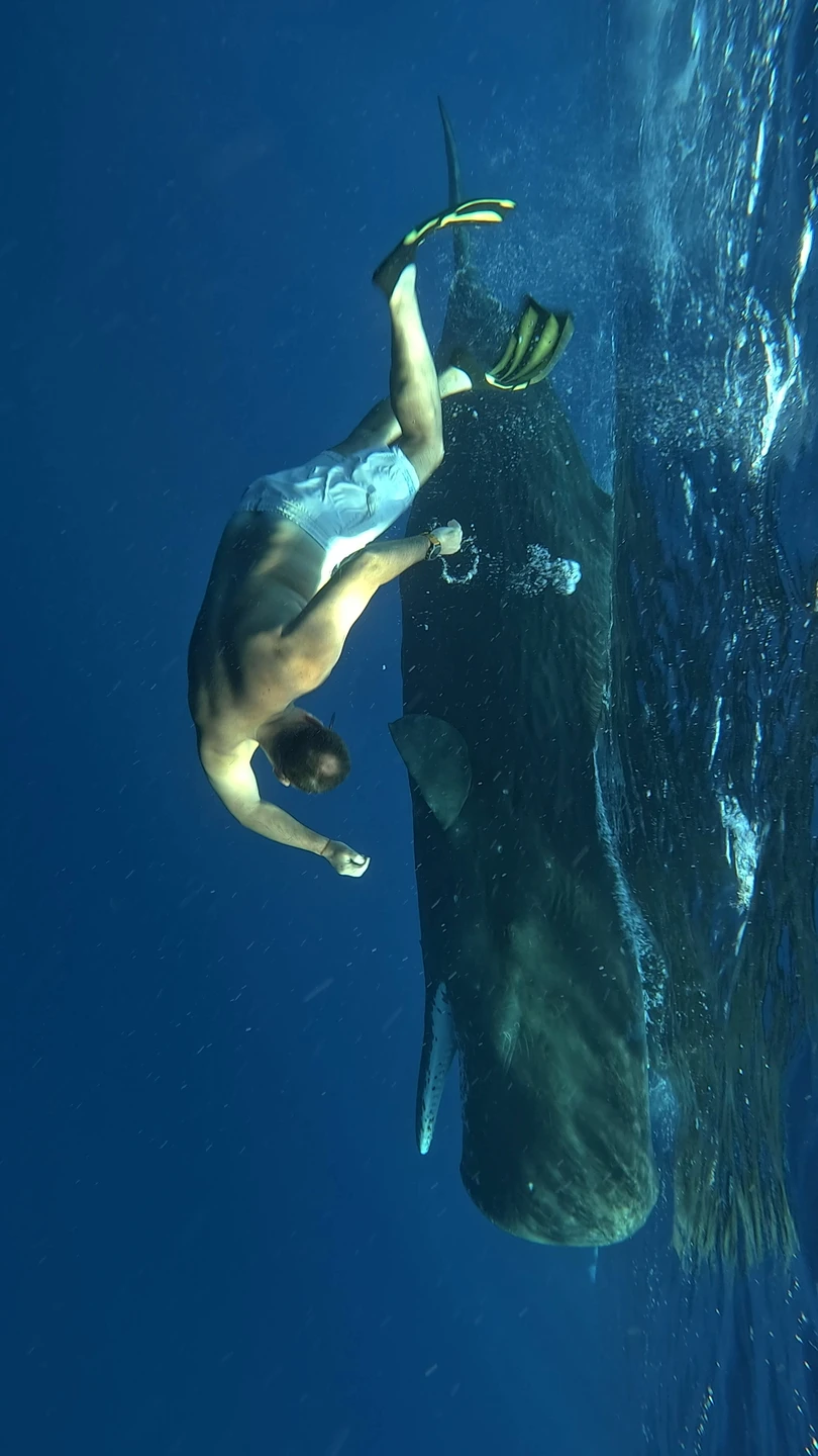 Заказывали индивидуальный тур на катере к китам. Все прошло замечательно! На рассвете собрались на берегу, затем