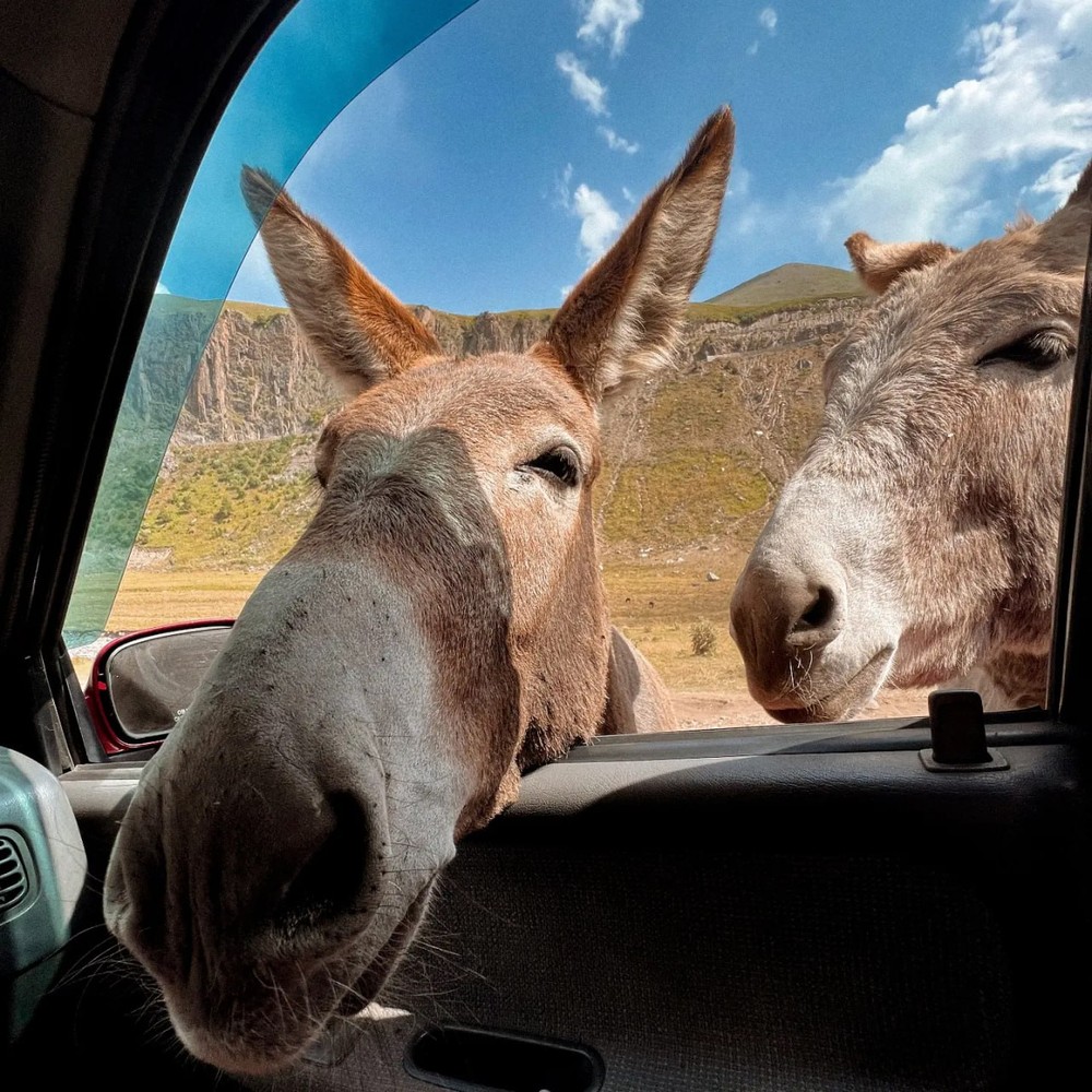 Экскурсия на Джилы-Су + оздоровительный треккинг на Калинов Мост (6/10)