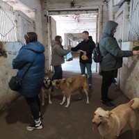 Фото отзыва 1: экскурсия "Квест по усадьбе фон Дервиза в посёлке Старожилово"