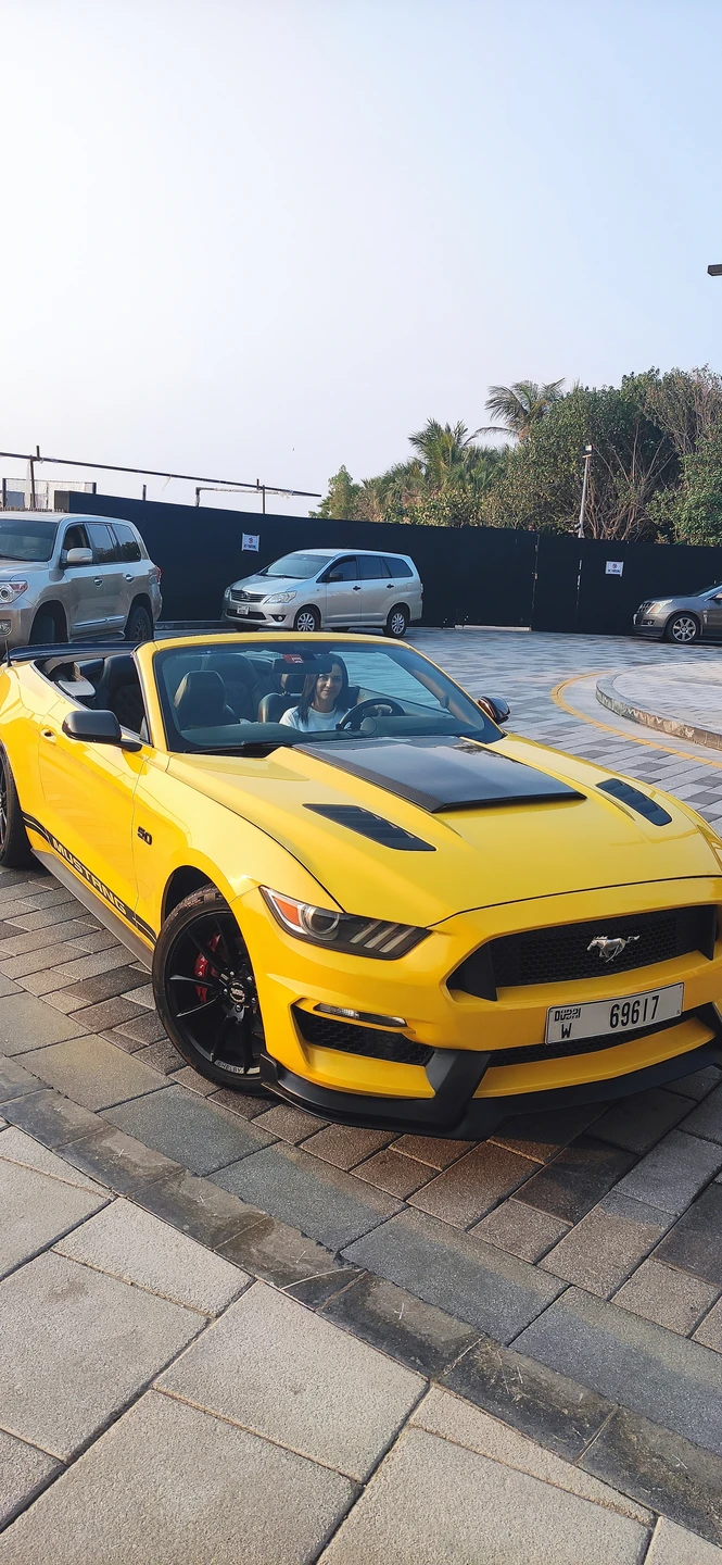 По Дубаю на кабриолете (Андрей)