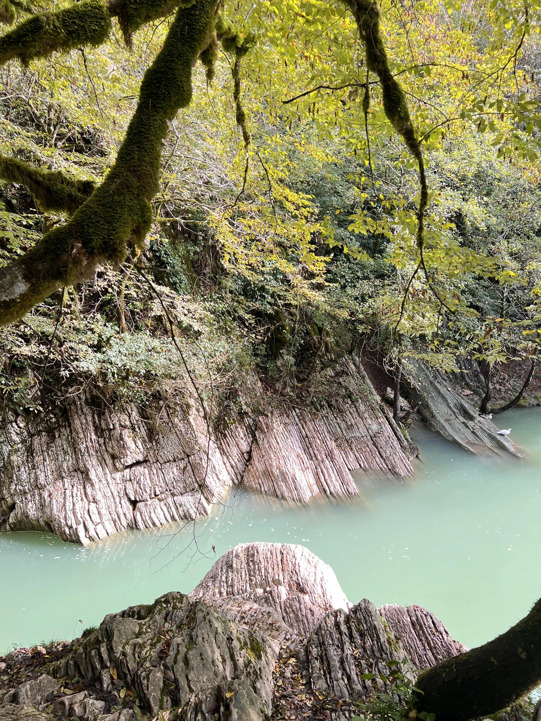Нашим гидом была Марина. Очень приятно было слушать ее, интересный рассказчик, приятный голос. Понравился маршрут, да