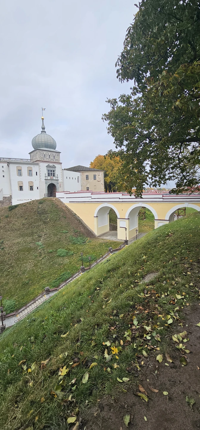 Королевский город Гродно (Олеся)