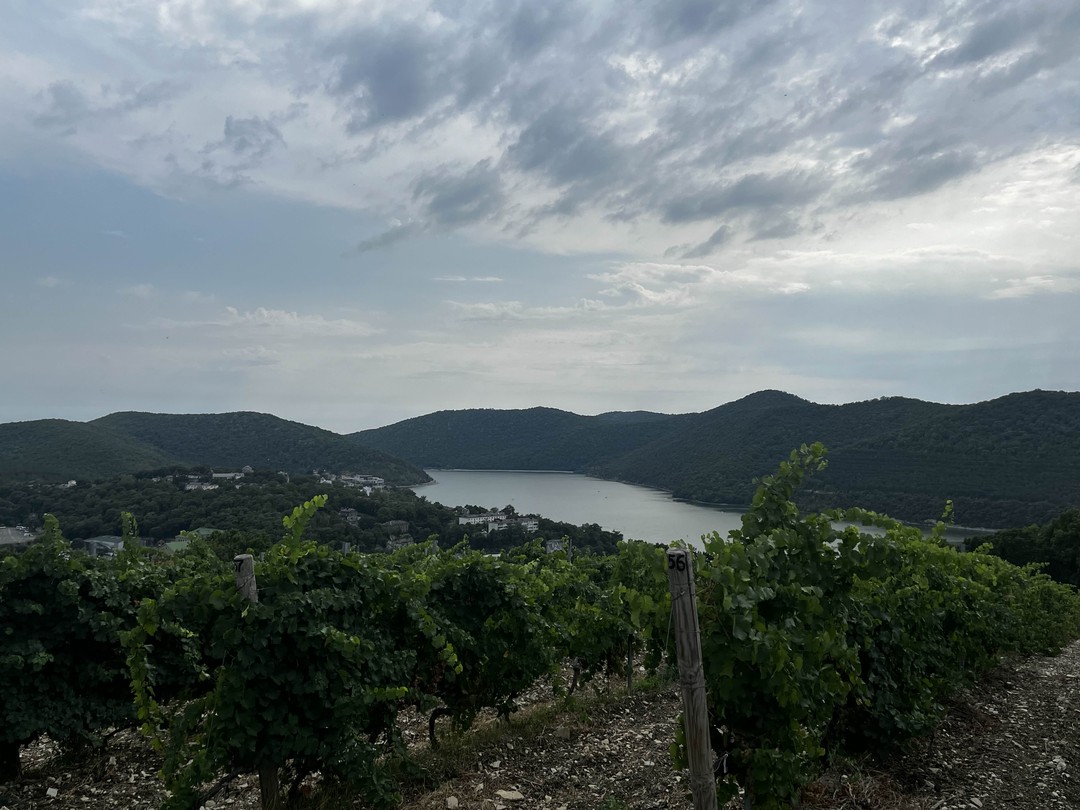 Абрау-Дюрсо, или Добро пожаловать в черноморскую Швейцарию (Елена)