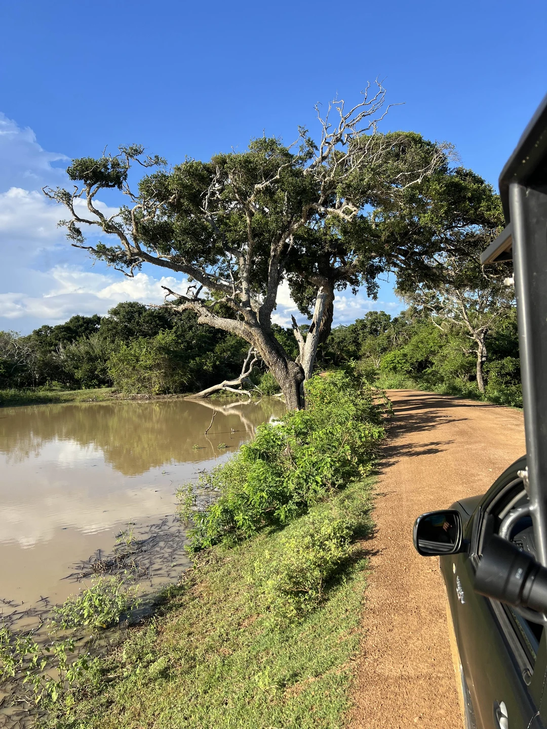 Очень рекомендую эту экскурсию. Дорога от отеля прошла незаметно: столько интересной истории, слушали втроем с 9-летним