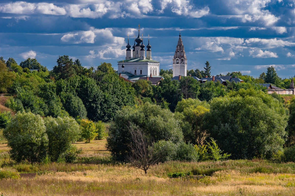 Фото Из Владимира — в Боголюбово и Суздаль