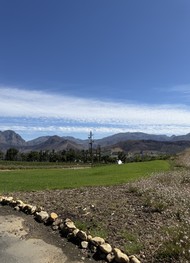 Фото отзыва 6: экскурсия "Стелленбош и Франшхук: гастропутешествие по винодельням Западного Кейпа 18+"