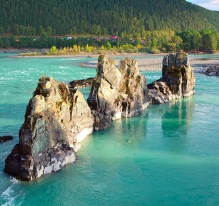 Зубы Дракона