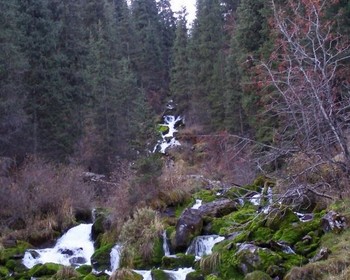 Треккинг к озеру Кёль-Тор и национальный парк «Кемин»