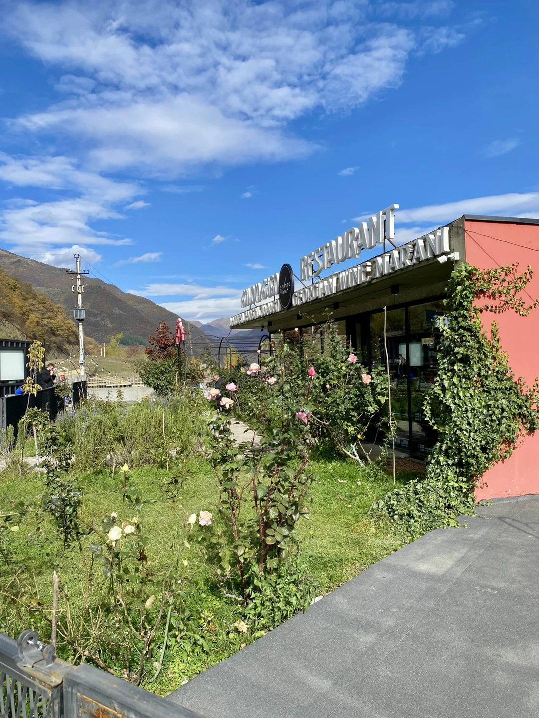 Казбек из Тбилиси: целебные травертины и волшебство горной долины (Виктория)