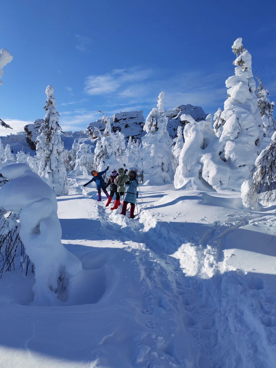 Сказать, что понравилось, — значит ничего не сказать. Я в восторге!