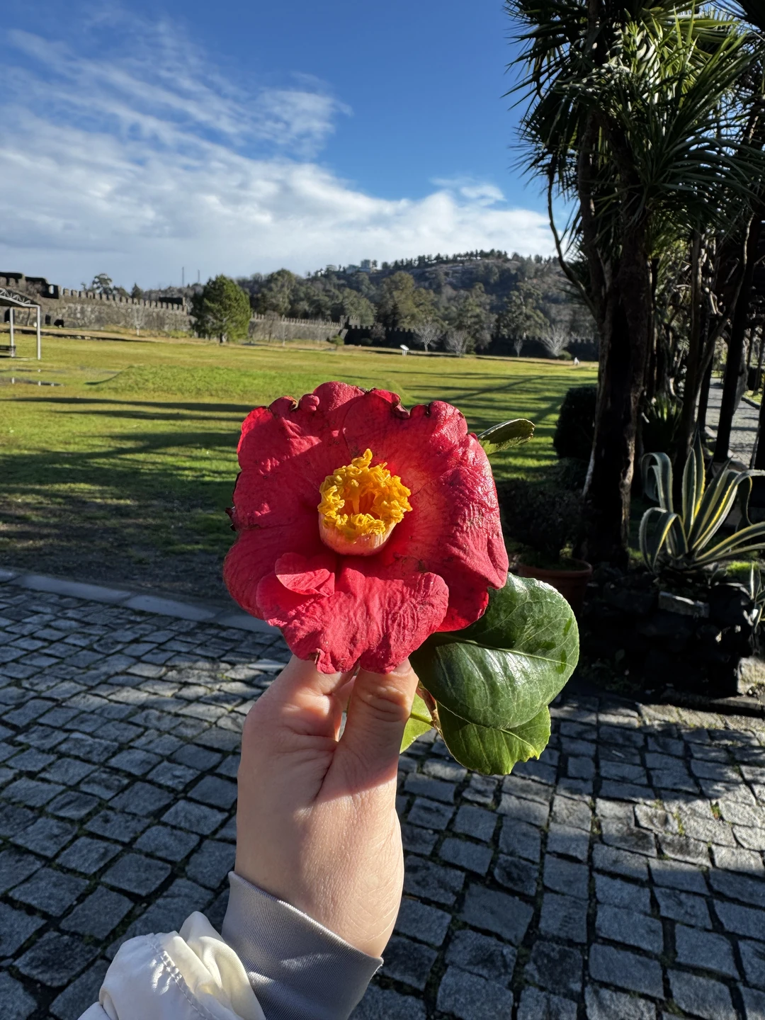 Прекрасная и насыщенная экскурсия по Горной Аджарии и часть Батуми. Увлекательно, интересно, колоритно, вкусно. Удивлена, что