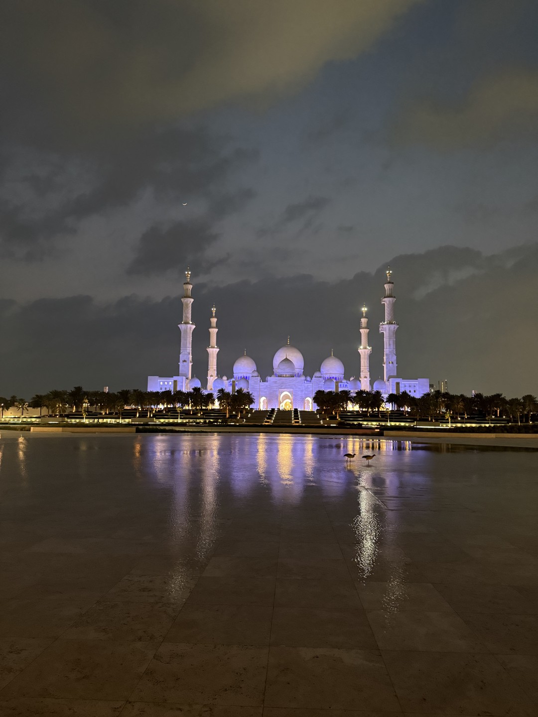 Хочу выразить огромную благодарность Максиму за интересную экскурсию по Абу-Даби!