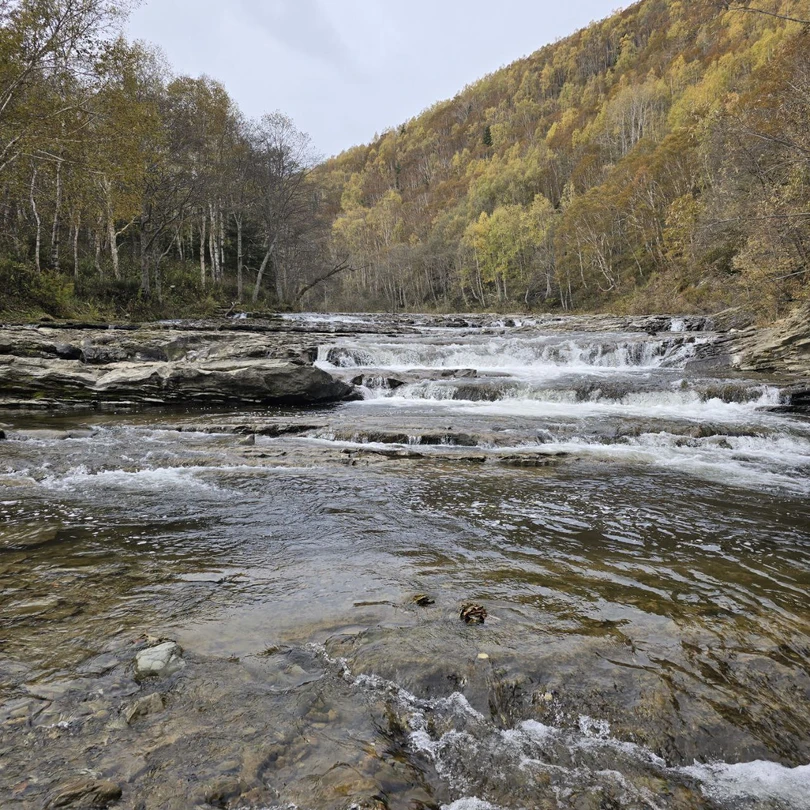 Огромное спасибо гиду Анатолию за прекрасно проведенную экскурсию. На янтарном пляже нас ждал большой сюрприз в
