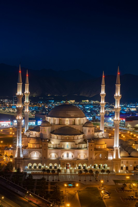 Виды Из Дубая к Индийскому океану: водная прогулка и крепость Фуджейры