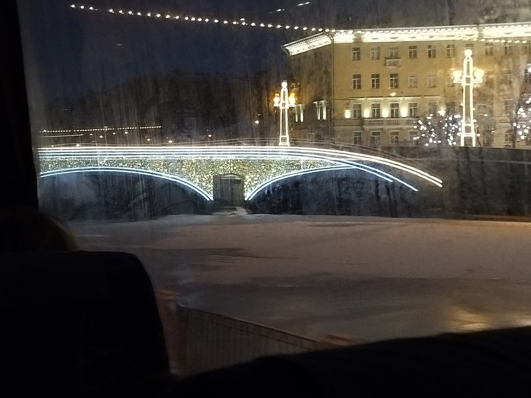 Рождественский Санкт-Петербург. Автобусная экскурсия (Рона)