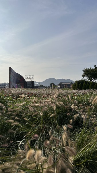 Наша экскурсия по Сеулу стала одним из прекрасных впечатлений от поездки - и во многом благодаря нашему замечательному гиду Аиде.